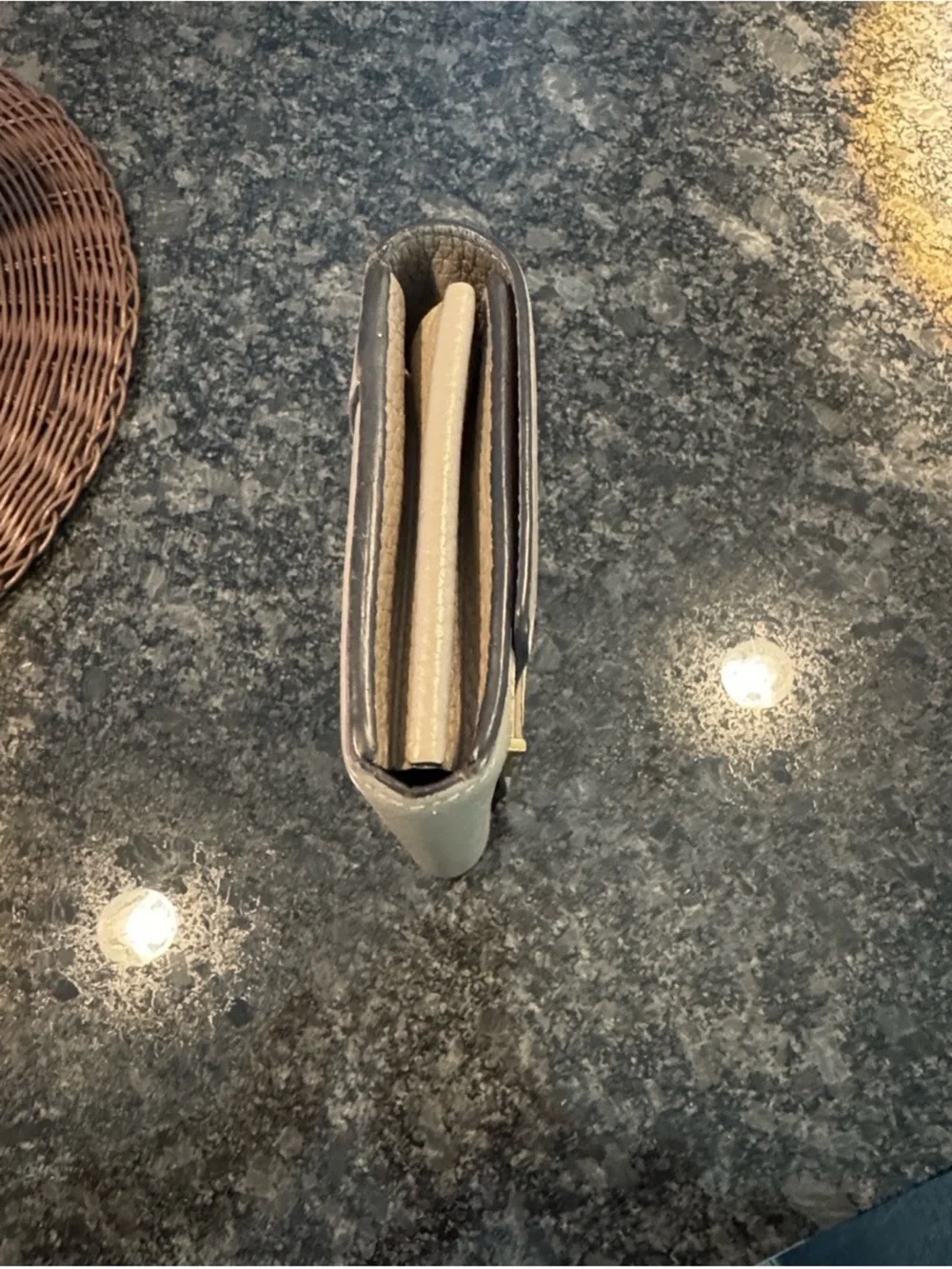 Louis Vuitton Taupe Cappucines Leather Wallet with Gold LV Emblem